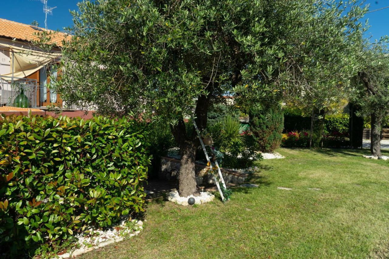 Bed & Breakfast Mafi Orsogna Εξωτερικό φωτογραφία